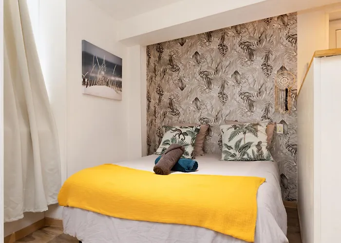 Le Cathare-Limoux-Wifi-Parking Free-Oc-Keys