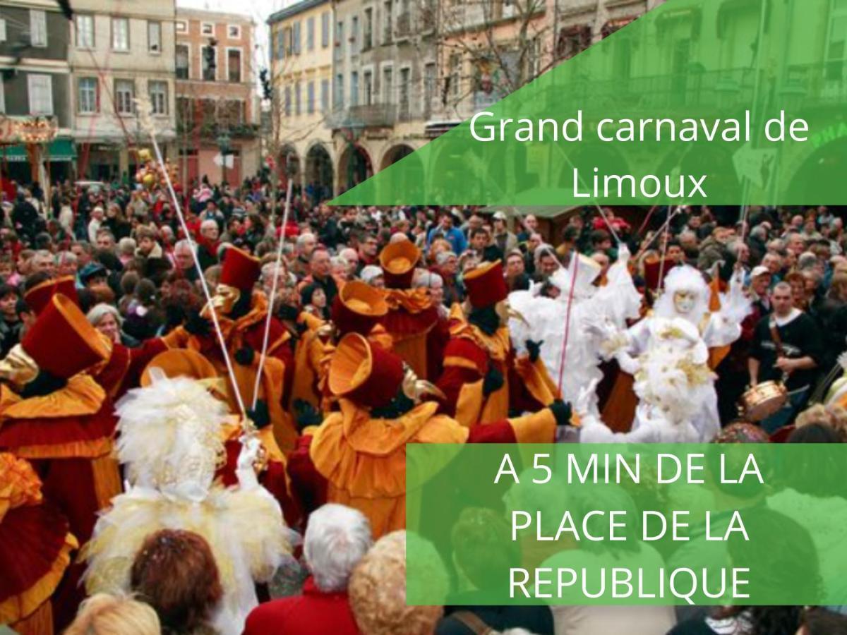 Le Cathare-limoux-wifi-cosy Appartement Limoux