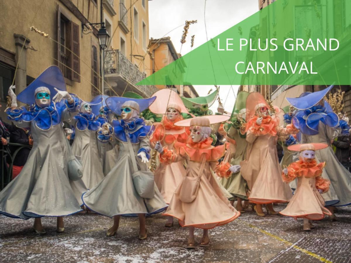 Le Cathare-limoux-wifi-cosy *