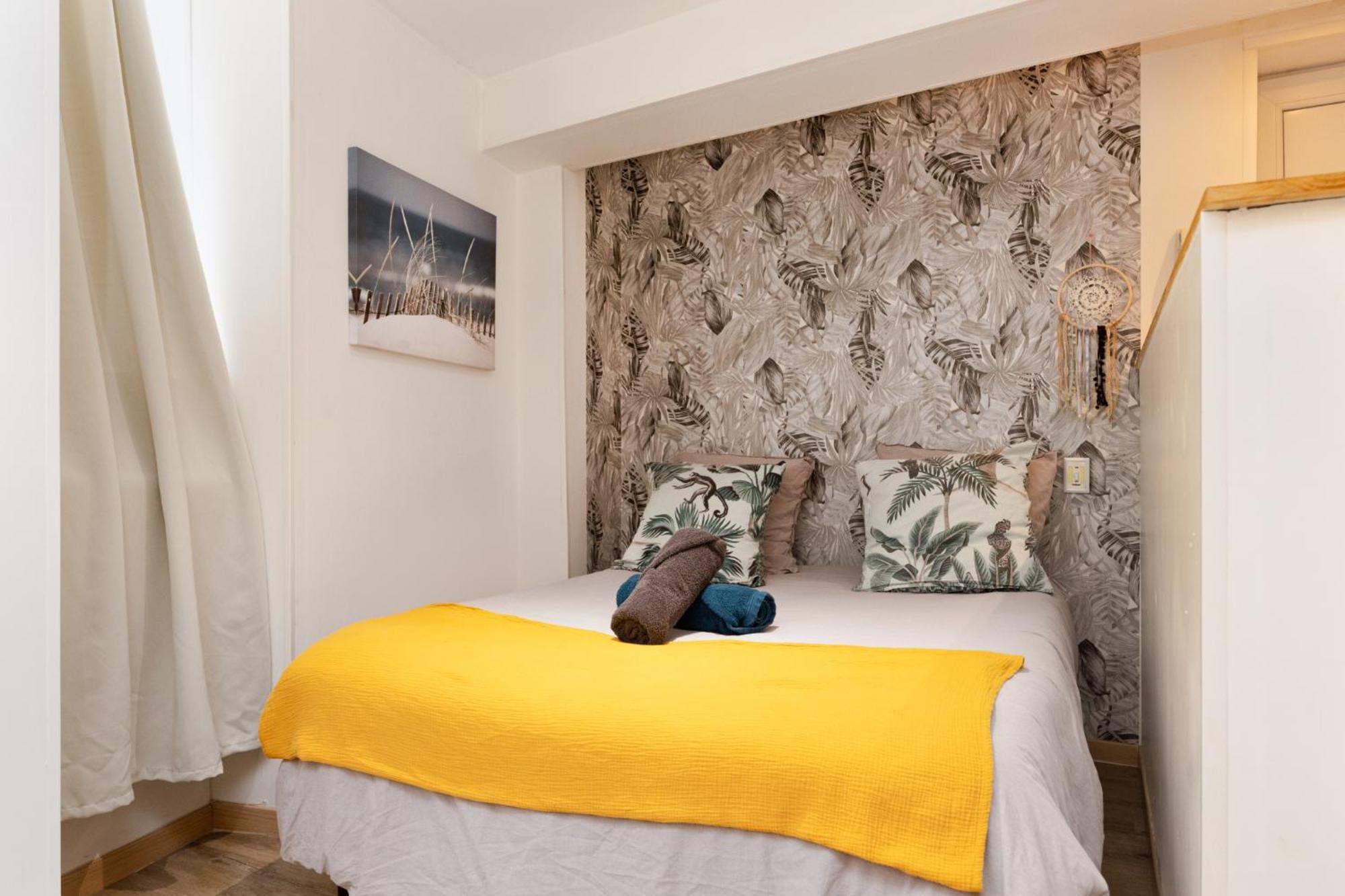 Le Cathare-limoux-wifi-cosy Limoux